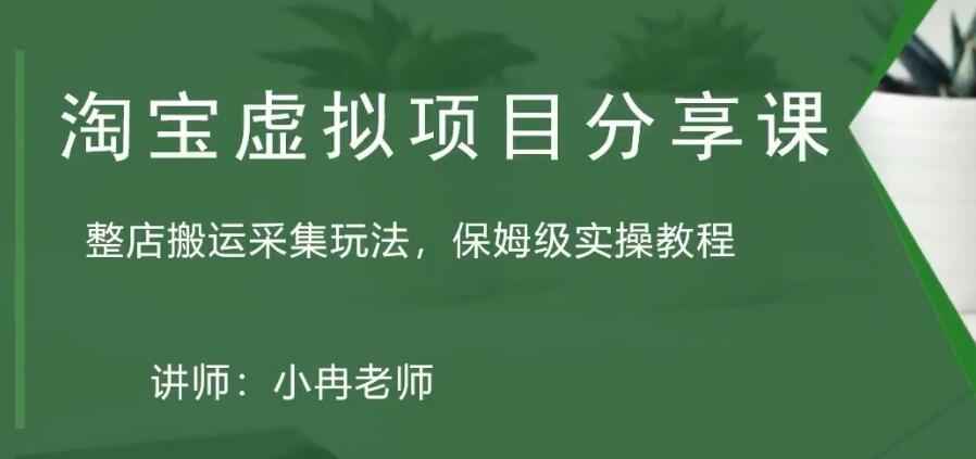 淘宝虚拟整店搬运采集玩法分享课：整店搬运采集玩法，保姆级实操教程插图