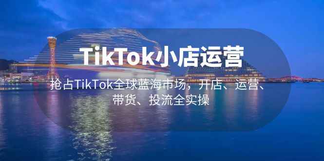 TikTok小店运营 抢占TikTok全球蓝海市场，开店、运营、带货、投流全实操插图