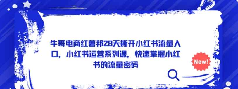 28天撕开小红书流量入口，小红书运营系列课，快速掌握小红书的流量密码插图