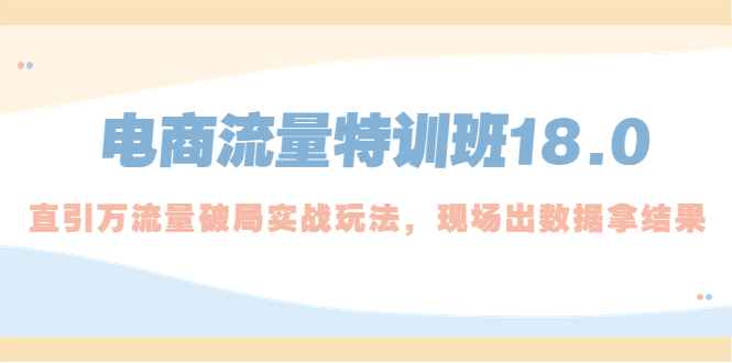 电商流量特训班18.0，直引万流量破局实操玩法，现场出数据拿结果插图