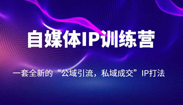 自媒体IP训练营【14期】，一套全新的“公域引流，私域成交”IP打法插图