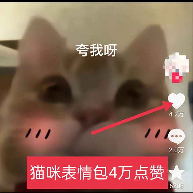 黑科技纯原创可爱猫咪图片，全网精准引流，实操5个VX号被加频繁插图(2)