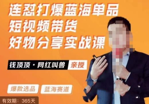 网红叫兽连怼打爆蓝海单品，短视频带货好物分享实战课插图