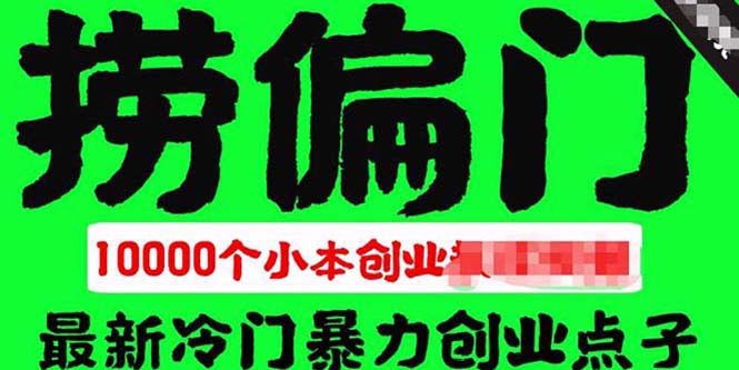 千款捞偏门小本创业小项目，总有一款适合你插图
