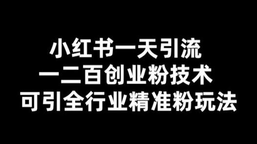 小红书一天引流一二百创业粉技术，可引全行业精准粉玩法插图