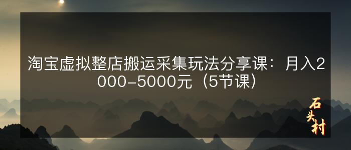 淘宝虚拟整店搬运采集玩法分享课：月入2000-5000元（5节课）