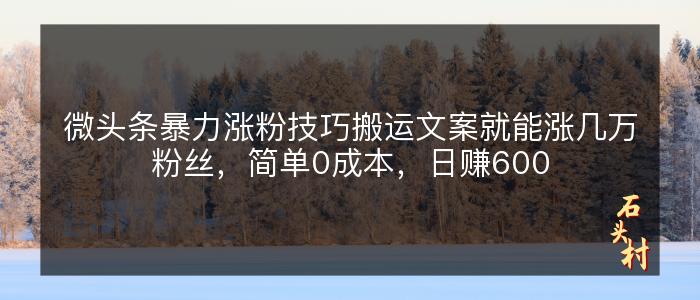 微头条暴力涨粉技巧搬运文案就能涨几万粉丝，简单0成本，日赚600