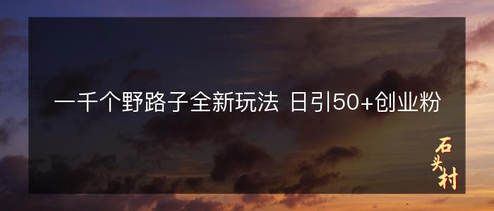 一千个野路子全新玩法 日引50+创业粉