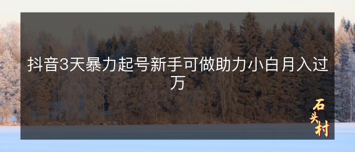 抖音3天暴力起号新手可做助力小白月入过万