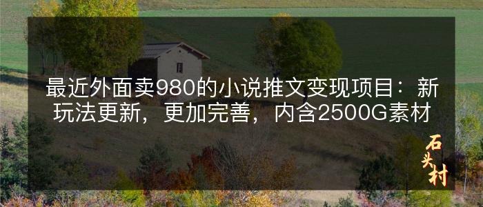 最近外面卖980的小说推文变现项目：新玩法更新，更加完善，内含2500G素材