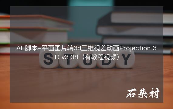 AE脚本-平面图片转3d三维视差动画Projection 3D v3.08（有教程视频）