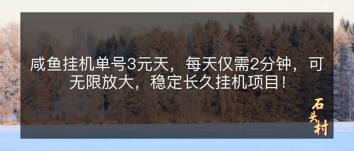 咸鱼挂机单号3元天，每天仅需2分钟，可无限放大，稳定长久挂机项目！