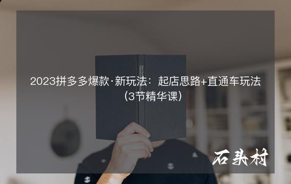 2023拼多多爆款·新玩法：起店思路+直通车玩法（3节精华课）