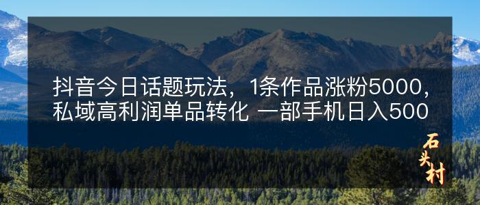 抖音今日话题玩法，1条作品涨粉5000，私域高利润单品转化 一部手机日入500