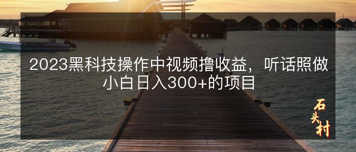 2023黑科技操作中视频撸收益，听话照做小白日入300+的项目