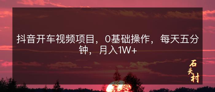 抖音开车视频项目，0基础操作，每天五分钟，月入1W+