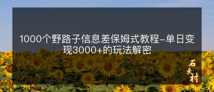 1000个野路子信息差保姆式教程-单日变现3000+的玩法解密