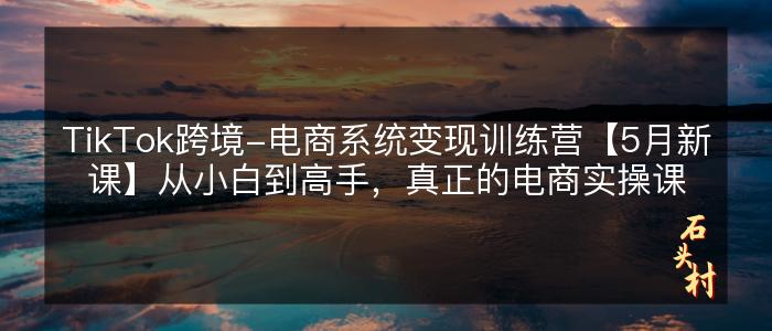 TikTok跨境-电商系统变现训练营【5月新课】从小白到高手，真正的电商实操课