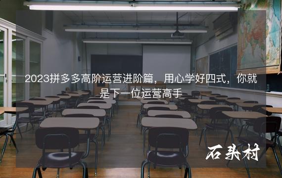 2023拼多多高阶运营进阶篇，用心学好四式，你就是下一位运营高手