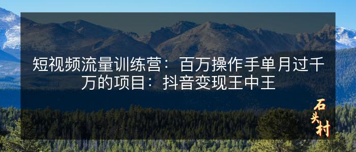 短视频流量训练营：百万操作手单月过千万的项目：抖音变现王中王