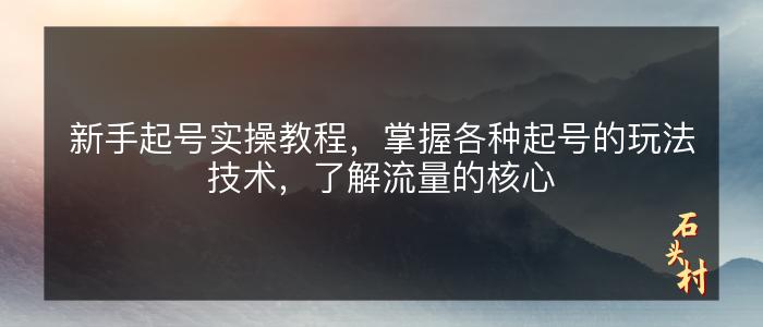 新手起号实操教程，掌握各种起号的玩法技术，了解流量的核心