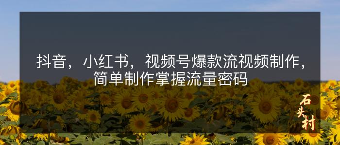 抖音，小红书，视频号爆款流视频制作，简单制作掌握流量密码