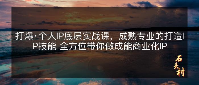 打爆·个人IP底层实战课，成熟专业的打造IP技能 全方位带你做成能商业化IP