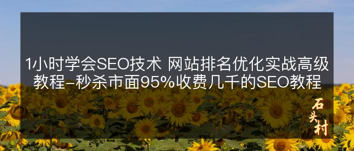 1小时学会SEO技术 网站排名优化实战高级教程-秒杀市面95%收费几千的SEO教程