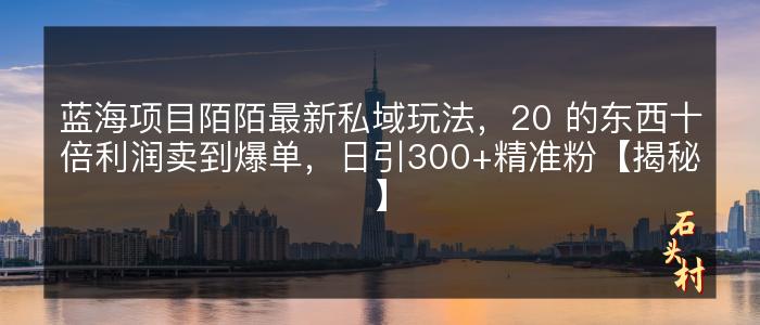 蓝海项目陌陌最新私域玩法，20 的东西十倍利润卖到爆单，日引300+精准粉【揭秘】