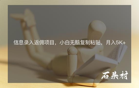 信息录入返佣项目，小白无脑复制粘贴，月入5K+