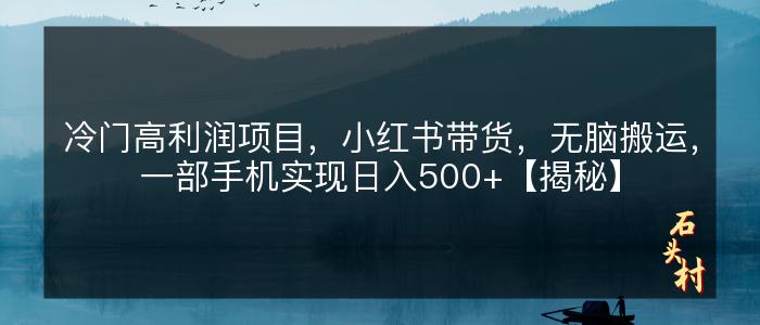 冷门高利润项目，小红书带货，无脑搬运，一部手机实现日入500+【揭秘】