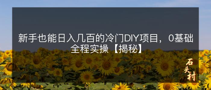 新手也能日入几百的冷门DIY项目，0基础全程实操【揭秘】