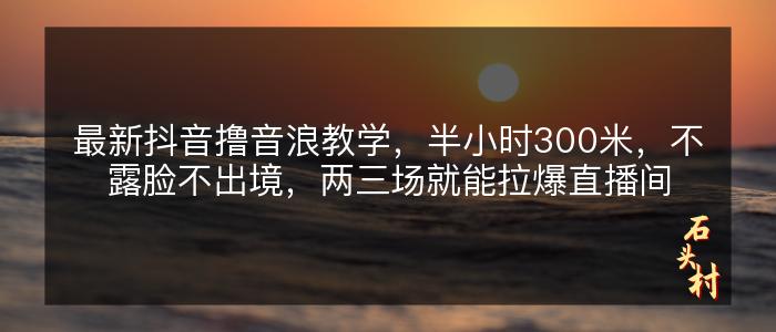 最新抖音撸音浪教学，半小时300米，不露脸不出境，两三场就能拉爆直播间