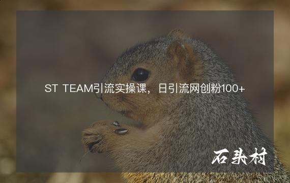 ST TEAM引流实操课，日引流网创粉100+