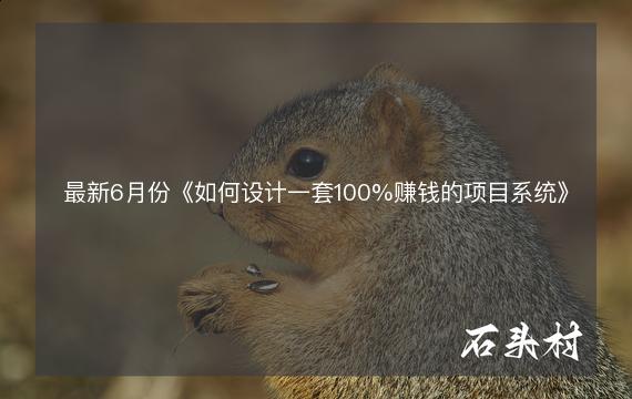 最新6月份《如何设计一套100%赚钱的项目系统》