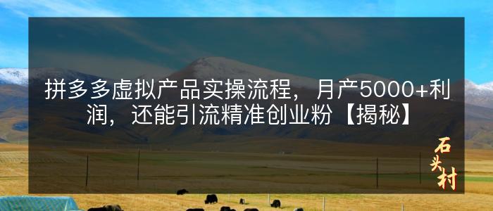 拼多多虚拟产品实操流程，月产5000+利润，还能引流精准创业粉【揭秘】