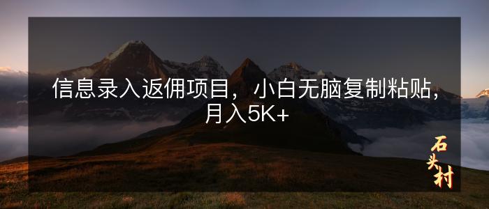 信息录入返佣项目，小白无脑复制粘贴，月入5K+
