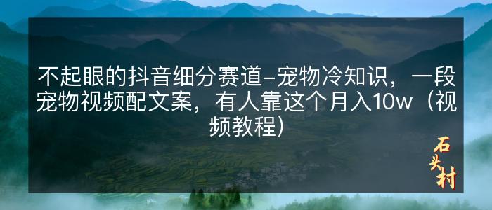 不起眼的抖音细分赛道-宠物冷知识，一段宠物视频配文案，有人靠这个月入10w（视频教程）