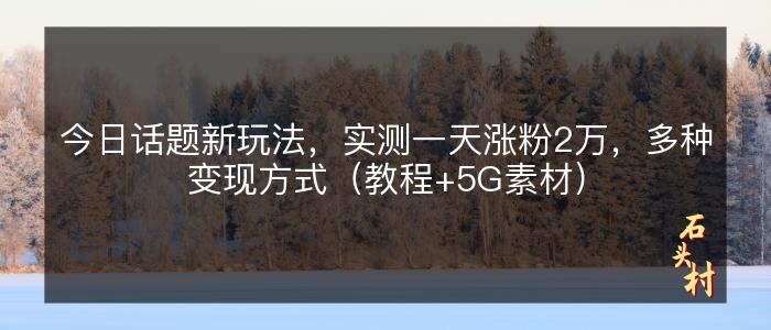 今日话题新玩法，实测一天涨粉2万，多种变现方式（教程+5G素材）