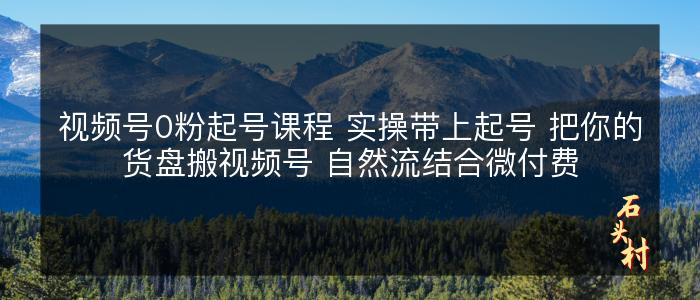 视频号0粉起号课程 实操带上起号 把你的货盘搬视频号 自然流结合微付费