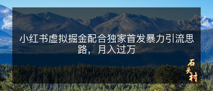 小红书虚拟掘金配合独家首发暴力引流思路，月入过万