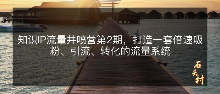 知识IP流量井喷营第2期，打造一套倍速吸粉、引流、转化的流量系统