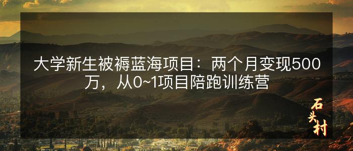 大学新生被褥蓝海项目：两个月变现500万，从0~1项目陪跑训练营