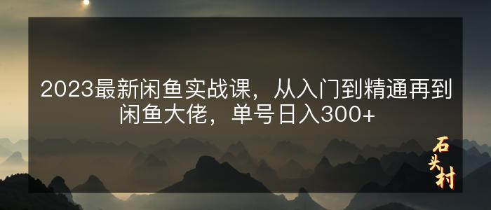 2023最新闲鱼实战课，从入门到精通再到闲鱼大佬，单号日入300+