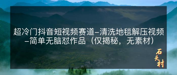 超冷门抖音短视频赛道-清洗地毯解压视频-简单无脑怼作品（仅揭秘，无素材）