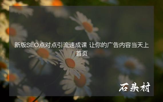 新版SEO点对点引流速成课 让你的广告内容当天上首页