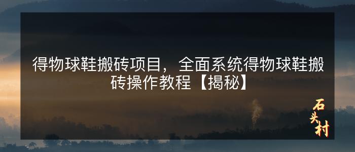 得物球鞋搬砖项目，全面系统得物球鞋搬砖操作教程【揭秘】