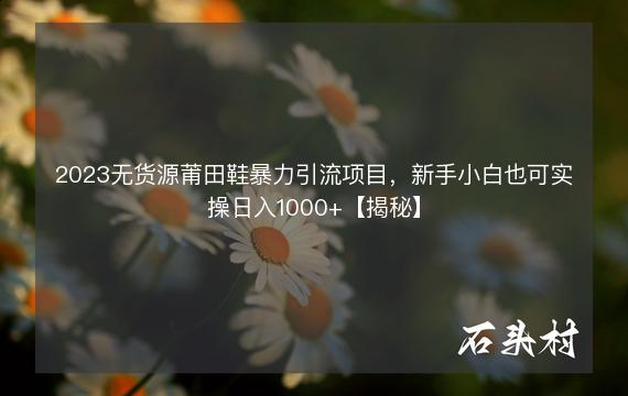 2023无货源莆田鞋暴力引流项目，新手小白也可实操日入1000+【揭秘】