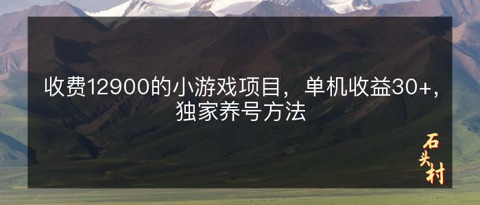 收费12900的小游戏项目，单机收益30+，独家养号方法