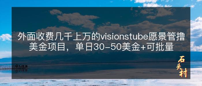 外面收费几千上万的visionstube愿景管撸美金项目，单日30-50美金+可批量